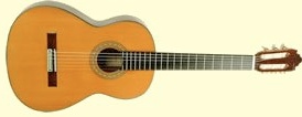 Vicente Carrillo Classical Guitars