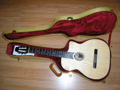 Dell Arte Classical Guitar