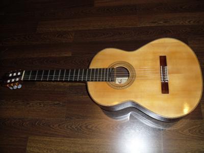 Lipkin/Algranati concert guitar