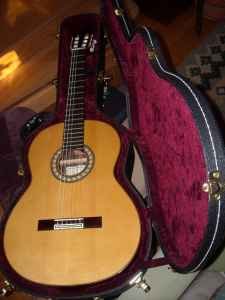 Pavan FN Flamenco Negra Front