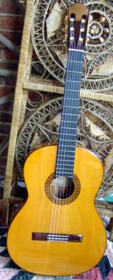 R.E BRUNE 30F Flamenco Guitar