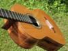 David Argent, Concert Classical Guitar front