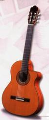 Electro Acoustic Sanchez guitar: beautiful instrument