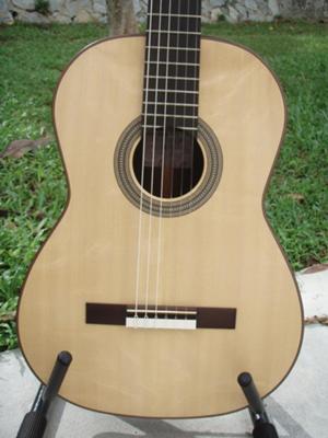 2008 Kevin Aram Guitar- Brand New