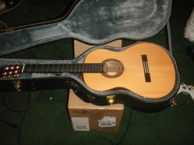 Alhambra 8p Classical Guitar.  She sounds great!