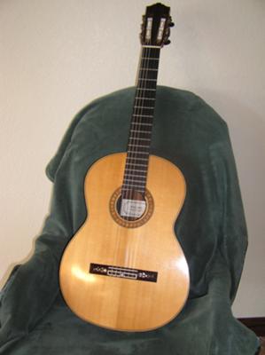 David Daily, solid spruce top
