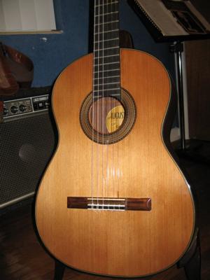 1975 Haselbacher Cedar Top front view.