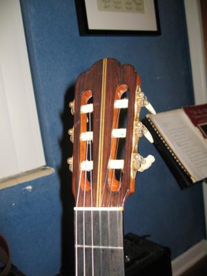 1975 Haselbacher Cedar Top headstock front view