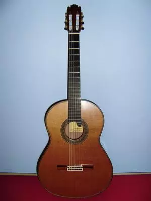 Manuel Contreras, 