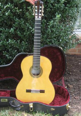 Pavan TP-30 Classical Guitar Front