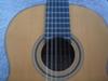 Mitsuru Tamura Model 1000 Sound Hole